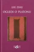 Ogledi o Platonu