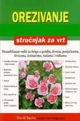 Orezivanje – stručnjak za vrt 