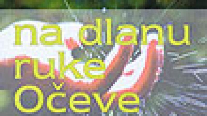 Na dlanu ruke Očeve : razmišljanja o Bogu Ocu