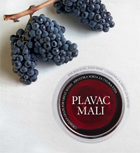 Plavac mali : hrvatska sorta za velika vina = A Croatian grape for great wines 