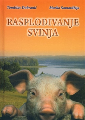 Rasplođivanje svinja