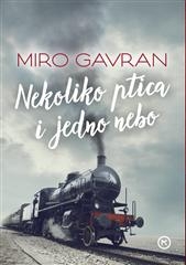 Nekoliko ptica i jedno nebo : roman