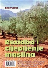 Rezidba i cijepljenje maslina