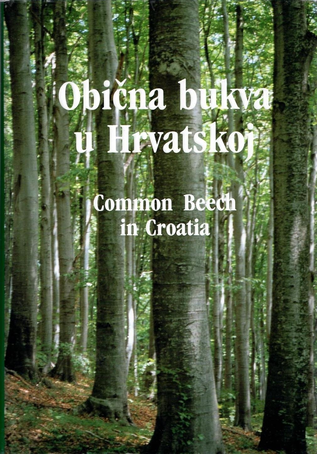 Obična bukva (Fagus sylvatica L.) u Hrvatskoj