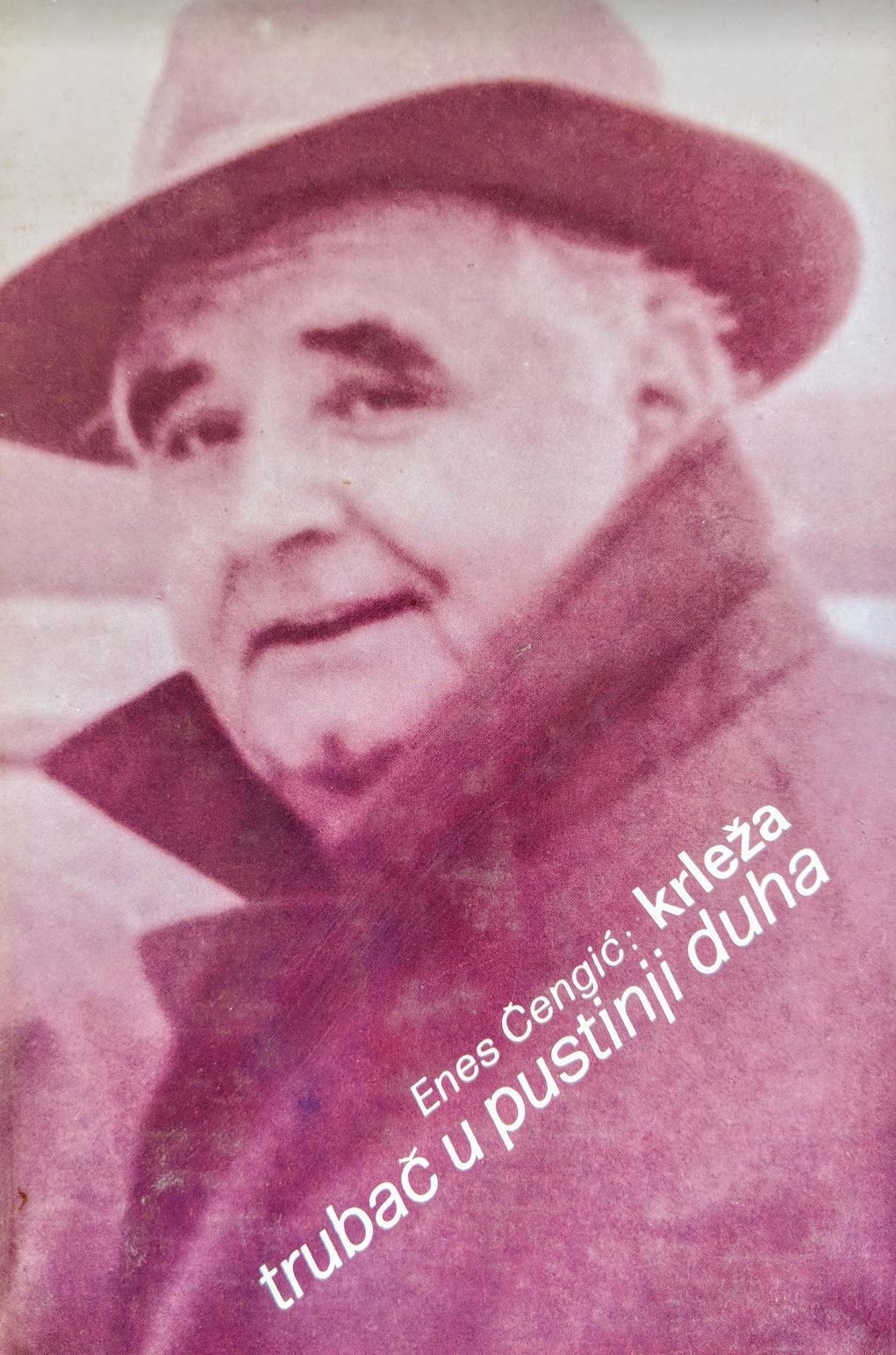 S Krležom iz dana u dan : Knj. 2 : Trubač u pustinji duha : (1975-1977)