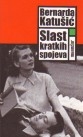 Slast kratkih spojeva : hrvatsko pjesništvo na razmeđi modernizma i postmodernizma