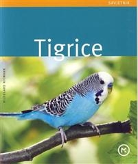 Tigrice - savjetnik