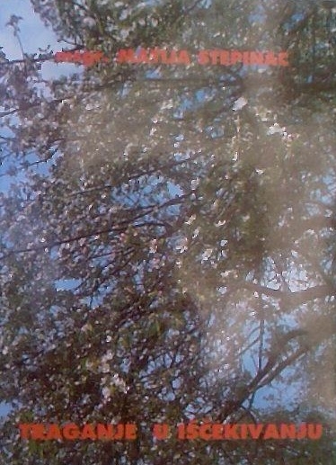 Traganje u iščekivanju 