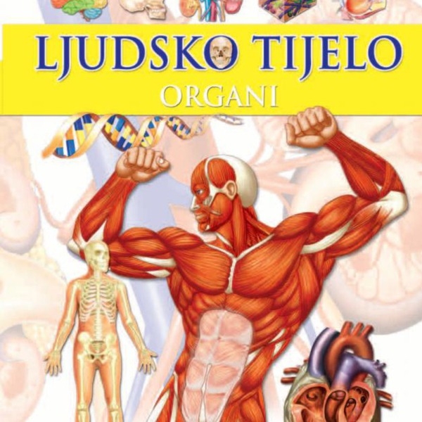 Ljudsko tijelo - Organi