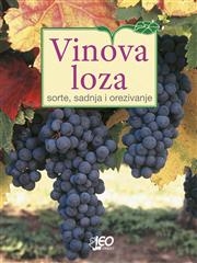 Vinova loza sorte, sadnja i orezivanje