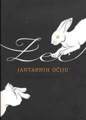 Zec jantarnih očiju
