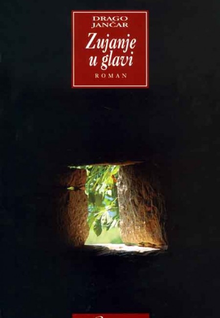 Zujanje u glavi 